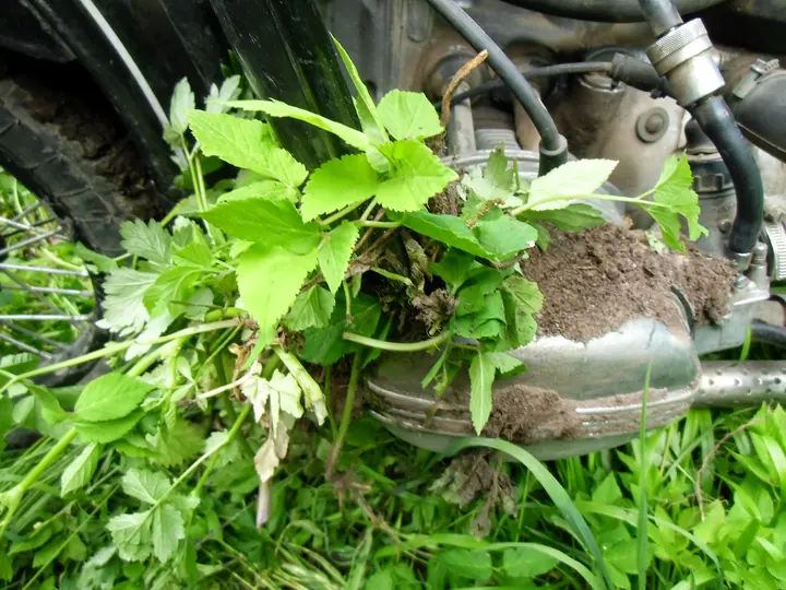 Drawsko Pomorskie — off-road na legalu — zdjęcie